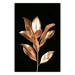 Poster Extraordinary Twig - plant composition of golden leaves on a black background 130525