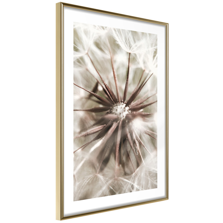 Wall Poster Close to Nature - summer composition with a delicate dandelion flower 135825 additionalImage 8