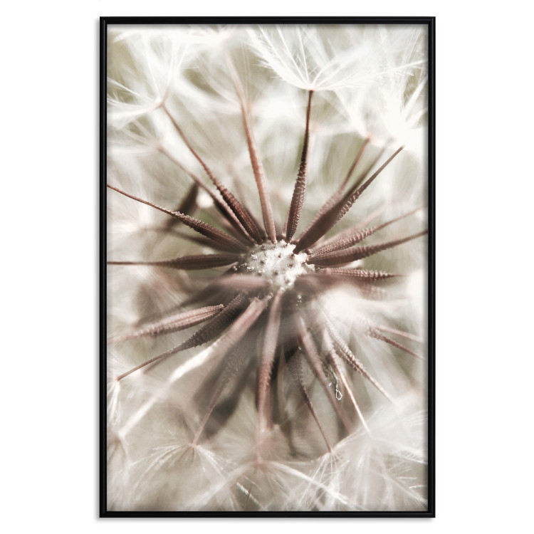 Wall Poster Close to Nature - summer composition with a delicate dandelion flower 135825 additionalImage 17