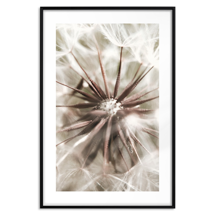 Wall Poster Close to Nature - summer composition with a delicate dandelion flower 135825 additionalImage 19