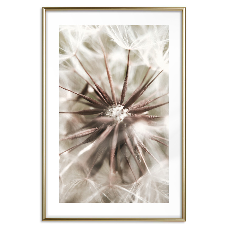 Wall Poster Close to Nature - summer composition with a delicate dandelion flower 135825 additionalImage 20
