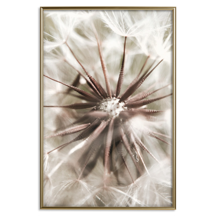Wall Poster Close to Nature - summer composition with a delicate dandelion flower 135825 additionalImage 18