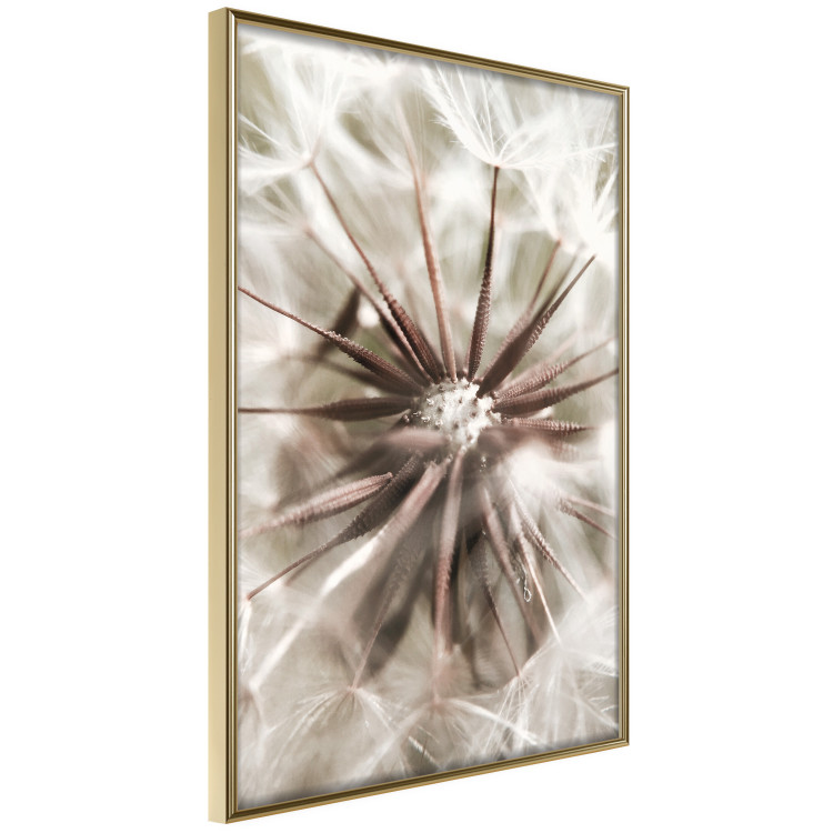 Wall Poster Close to Nature - summer composition with a delicate dandelion flower 135825 additionalImage 6