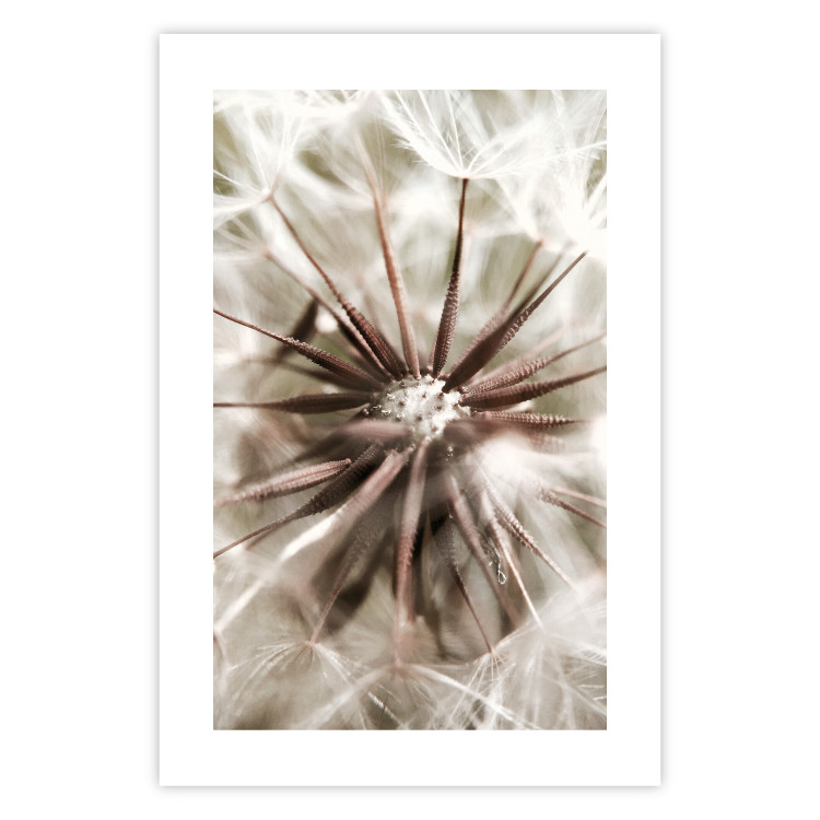 Wall Poster Close to Nature - summer composition with a delicate dandelion flower 135825 additionalImage 16