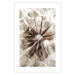 Wall Poster Close to Nature - summer composition with a delicate dandelion flower 135825 additionalThumb 16