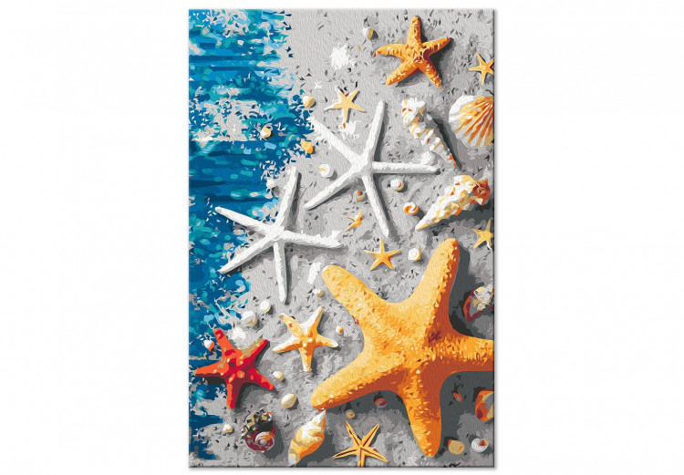 Paint by number Sand and Seashells - Starfish and Sea Elements on Blue Boards 144525 additionalImage 4