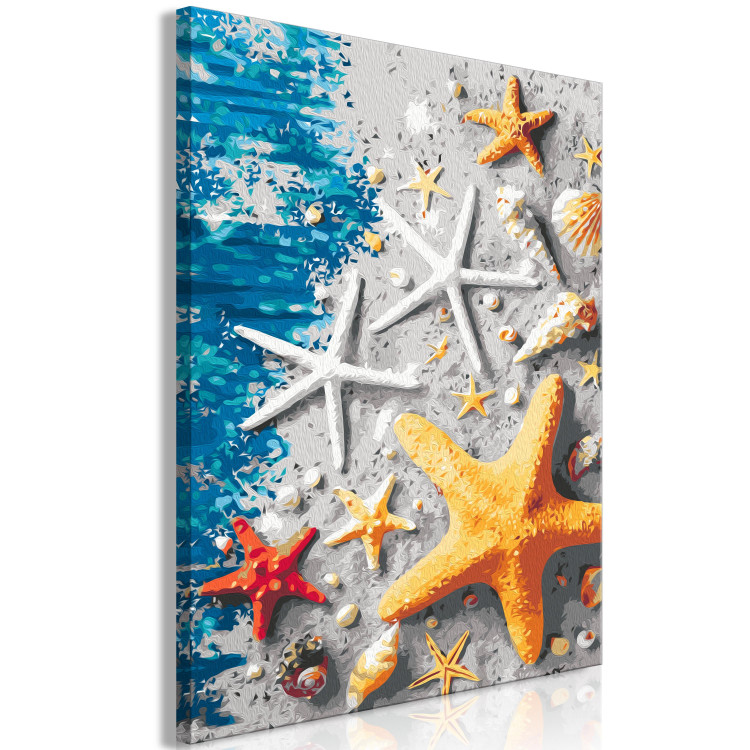 Paint by number Sand and Seashells - Starfish and Sea Elements on Blue Boards 144525 additionalImage 5