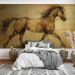 Wall Mural Animal Study - A Sketch of a Horse Inspired by Da Vinci’s Work 151025 additionalThumb 2