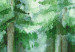 Canvas Print Trees Painted With Watercolor - Spruce Forest in White and Green Colors 151825 additionalThumb 4