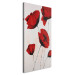 Canvas Print Painted Red Poppies (1-piece) - minimalist floral motif 46625 additionalThumb 2