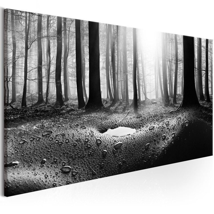 Canvas Art Print Forest after Rain (1 Part) Narrow 107635 additionalImage 2