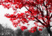 Canvas Autumn Tone (1-part) - Gray Photo of Red Tree 117135 additionalThumb 5
