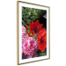 Wall Poster Floral Symphony - colorful composition with flowers on a uniform background 118335 additionalThumb 8