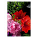 Wall Poster Floral Symphony - colorful composition with flowers on a uniform background 118335