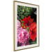 Wall Poster Floral Symphony - colorful composition with flowers on a uniform background 118335 additionalThumb 2