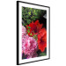 Wall Poster Floral Symphony - colorful composition with flowers on a uniform background 118335 additionalThumb 11