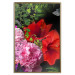 Wall Poster Floral Symphony - colorful composition with flowers on a uniform background 118335 additionalThumb 20