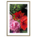 Wall Poster Floral Symphony - colorful composition with flowers on a uniform background 118335 additionalThumb 16