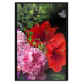 Wall Poster Floral Symphony - colorful composition with flowers on a uniform background 118335 additionalThumb 24
