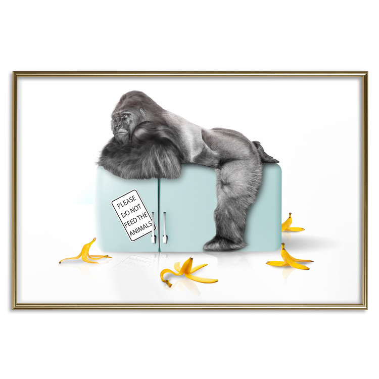 Wall Poster Hungry Gorilla - humorous composition with a wild monkey and banana peels 119035 additionalImage 16