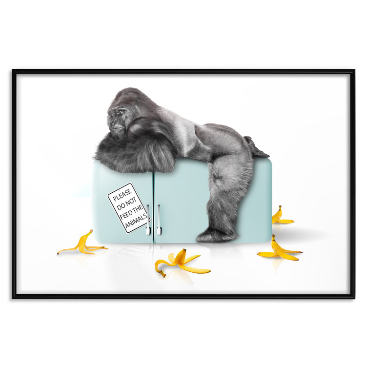 Wall Poster Hungry Gorilla - humorous composition with a wild monkey and banana peels 119035 additionalImage 18