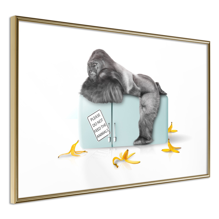 Wall Poster Hungry Gorilla - humorous composition with a wild monkey and banana peels 119035 additionalImage 6