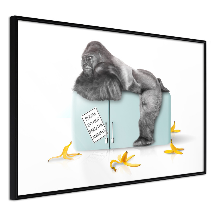 Wall Poster Hungry Gorilla - humorous composition with a wild monkey and banana peels 119035 additionalImage 10