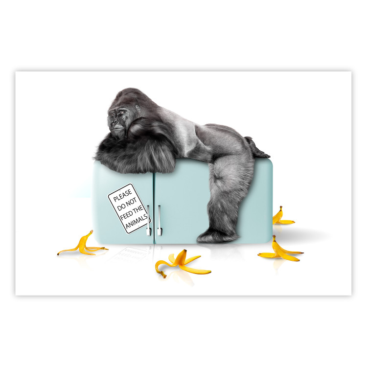 Wall Poster Hungry Gorilla - humorous composition with a wild monkey and banana peels 119035