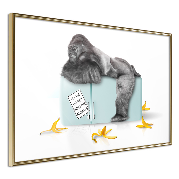 Wall Poster Hungry Gorilla - humorous composition with a wild monkey and banana peels 119035 additionalImage 12
