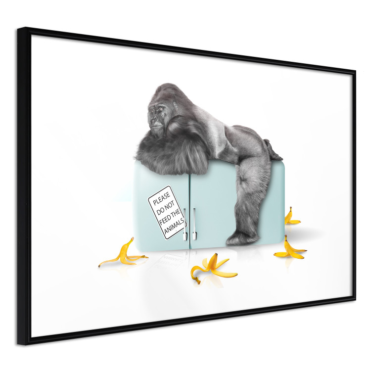Wall Poster Hungry Gorilla - humorous composition with a wild monkey and banana peels 119035 additionalImage 11
