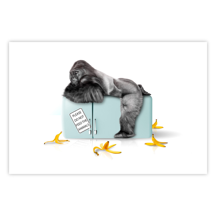 Wall Poster Hungry Gorilla - humorous composition with a wild monkey and banana peels 119035 additionalImage 19