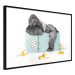 Wall Poster Hungry Gorilla - humorous composition with a wild monkey and banana peels 119035 additionalThumb 10