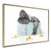 Wall Poster Hungry Gorilla - humorous composition with a wild monkey and banana peels 119035 additionalThumb 12