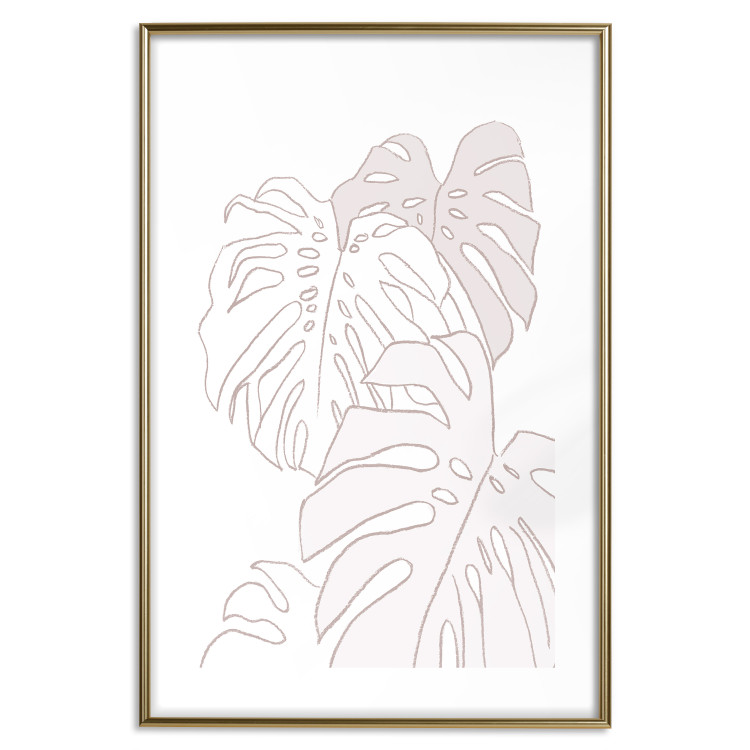Poster Creamy Monstera - botanical sketches of several monstera leaves on a white background 123135 additionalImage 16