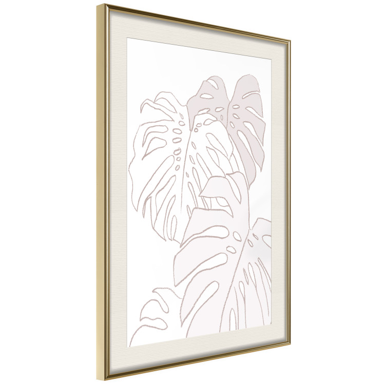 Poster Creamy Monstera - botanical sketches of several monstera leaves on a white background 123135 additionalImage 2