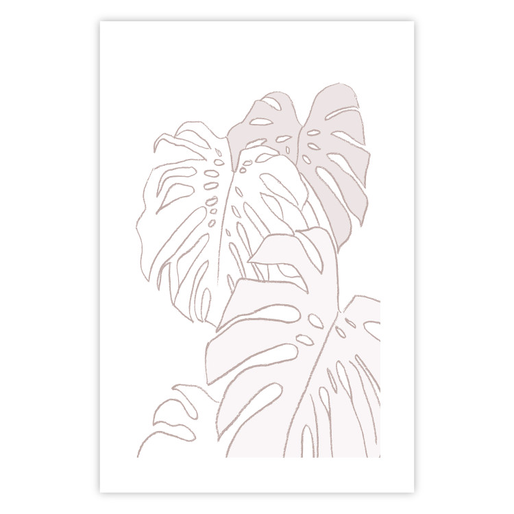 Poster Creamy Monstera - botanical sketches of several monstera leaves on a white background 123135 additionalImage 25
