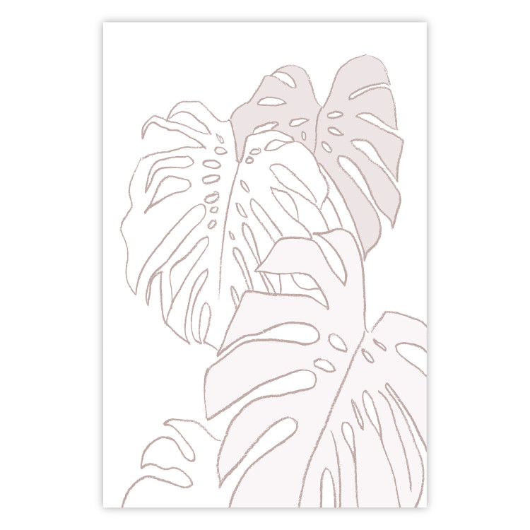 Poster Creamy Monstera - botanical sketches of several monstera leaves on a white background 123135
