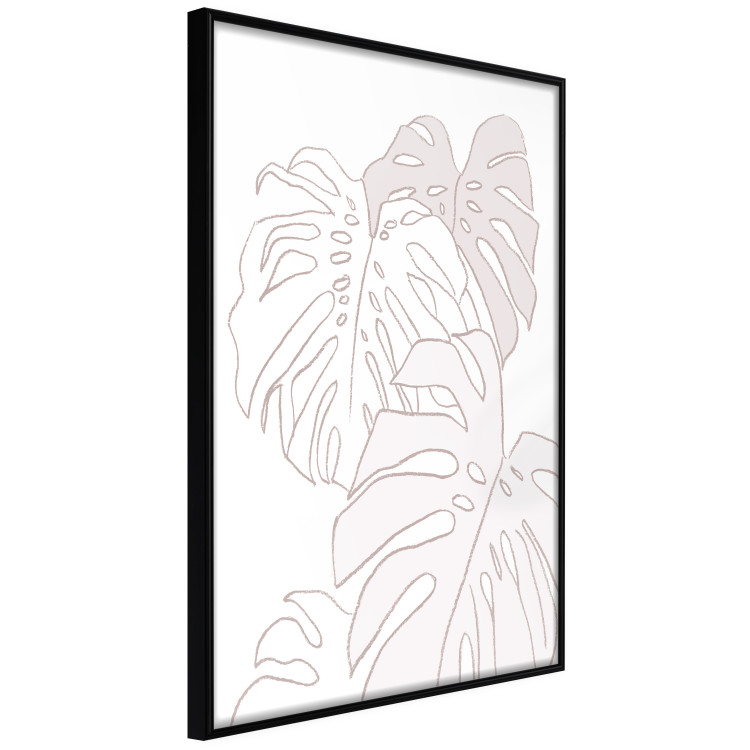 Poster Creamy Monstera - botanical sketches of several monstera leaves on a white background 123135 additionalImage 10