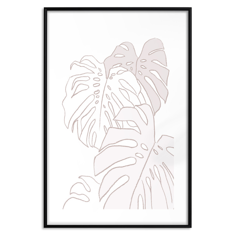 Poster Creamy Monstera - botanical sketches of several monstera leaves on a white background 123135 additionalImage 15