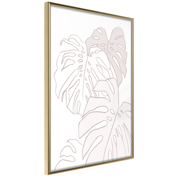 Poster Creamy Monstera - botanical sketches of several monstera leaves on a white background 123135 additionalImage 14