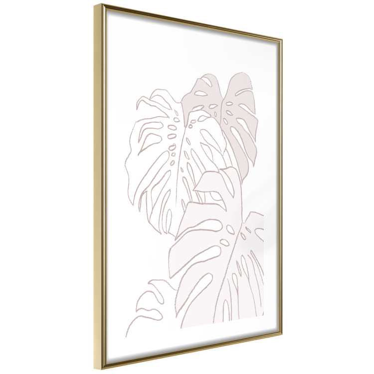 Poster Creamy Monstera - botanical sketches of several monstera leaves on a white background 123135 additionalImage 8