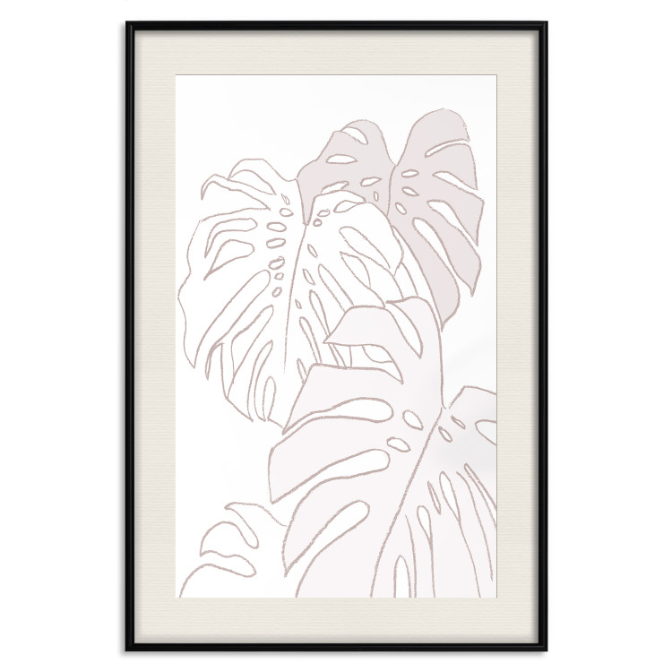 Poster Creamy Monstera - botanical sketches of several monstera leaves on a white background 123135 additionalImage 18