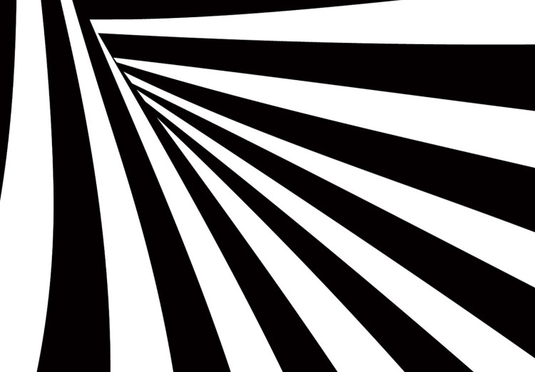 Wall Poster Deep Hypnosis - black and white abstract illusion with hypnotic effect 123935 additionalImage 8