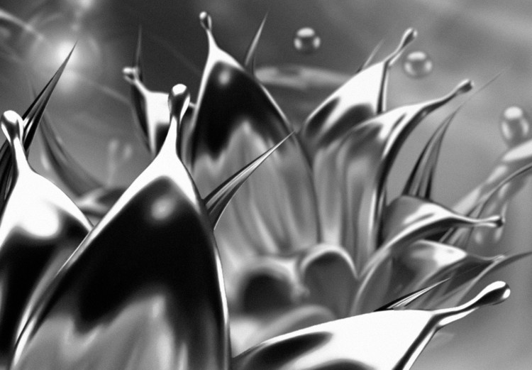 Photo Wallpaper Oil flower black and white - floral abstraction with fluid motif 125735 additionalImage 4