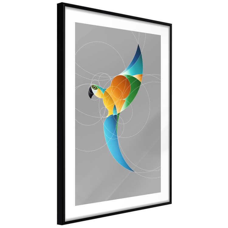 Wall Poster Parrot in Circles - abstract colorful bird made of geometric figures 126935 additionalImage 6