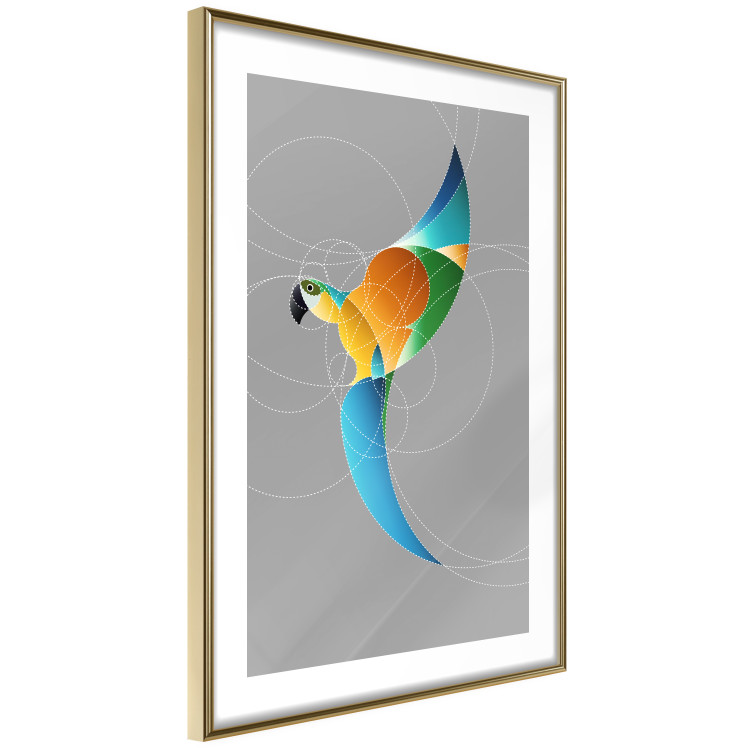Wall Poster Parrot in Circles - abstract colorful bird made of geometric figures 126935 additionalImage 7