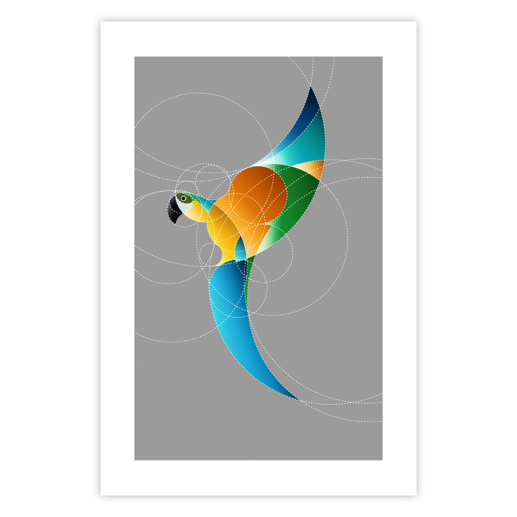 Wall Poster Parrot in Circles - abstract colorful bird made of geometric figures 126935 additionalImage 15