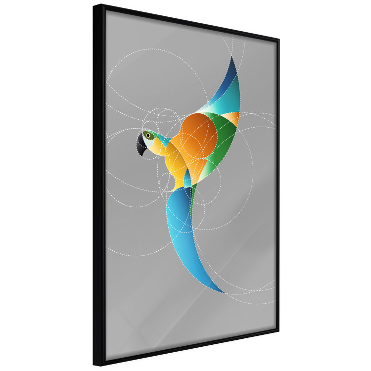Wall Poster Parrot in Circles - abstract colorful bird made of geometric figures 126935 additionalImage 11