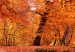 Large canvas print Autumn Park II [Large Format] 128535 additionalThumb 5