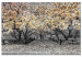 Large canvas print Magnolia Park - Orange [Large Format] 128635